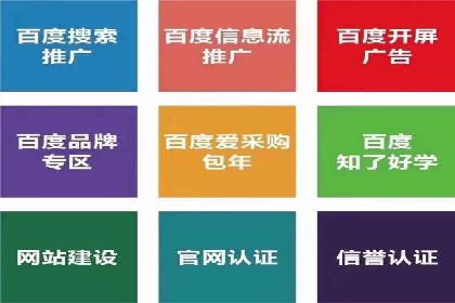 SEM托管服务，成功案例见证转化奇迹